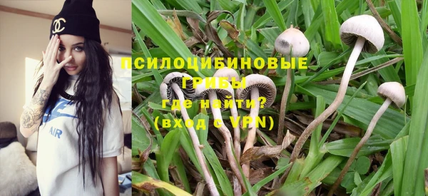 молекула духа Алзамай