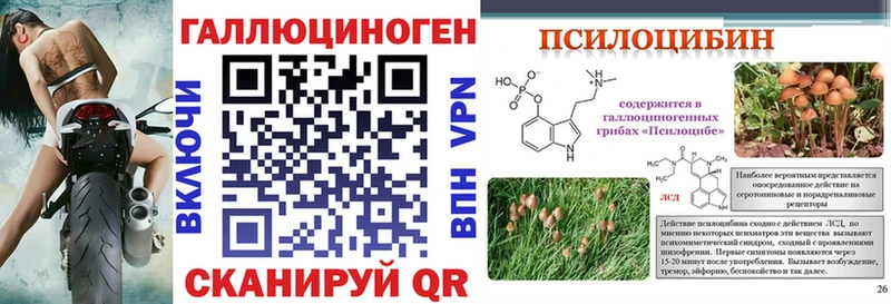 где продают   Тольятти  Галлюциногенные грибы мицелий 